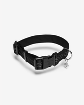 LeMieux Henley Webbing Dog Collar